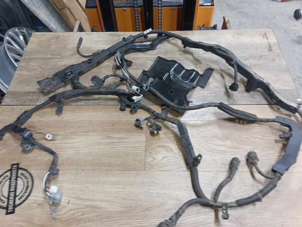 Проводка (коса) Toyota Land Cruiser 300 (2021—2026), фото 1