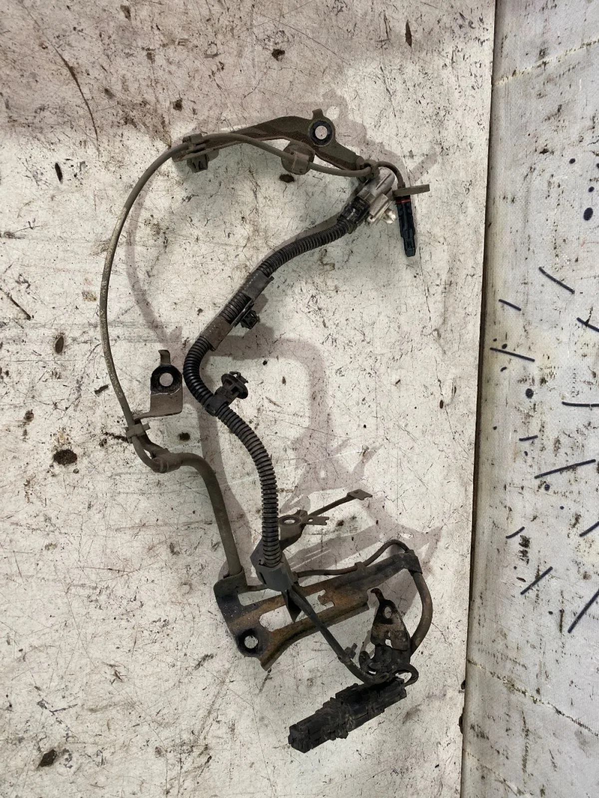 Проводка (коса) Toyota Land Cruiser 300 (2021—2026), фото 1