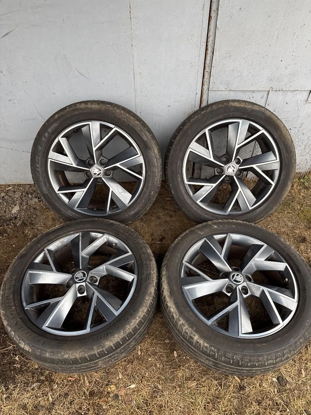 Колеса Kodiaq R19, фото 1