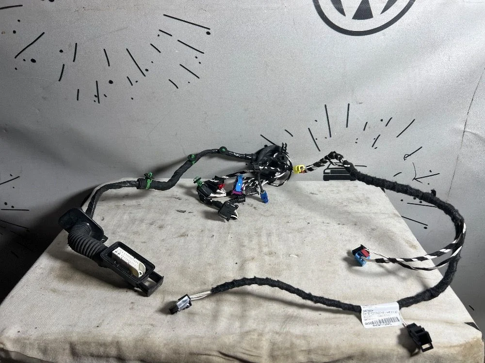 Проводка передней левой двери Volkswagen Tiguan II (2016—2020), фото 1